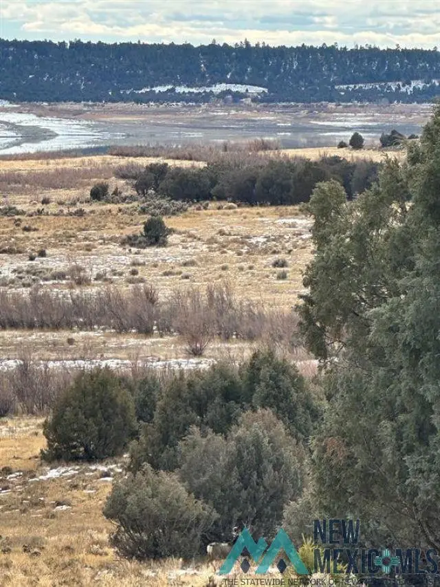 TBD Buena Vista Drive Road, Los Ojos, NM 87551 - Image #2