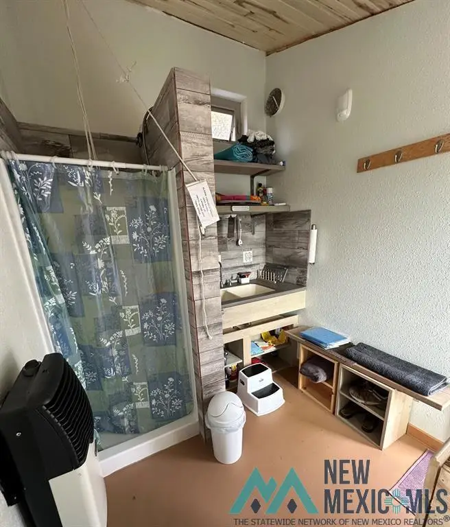 TBD Buena Vista Drive Road, Los Ojos, NM 87551 - Image #3