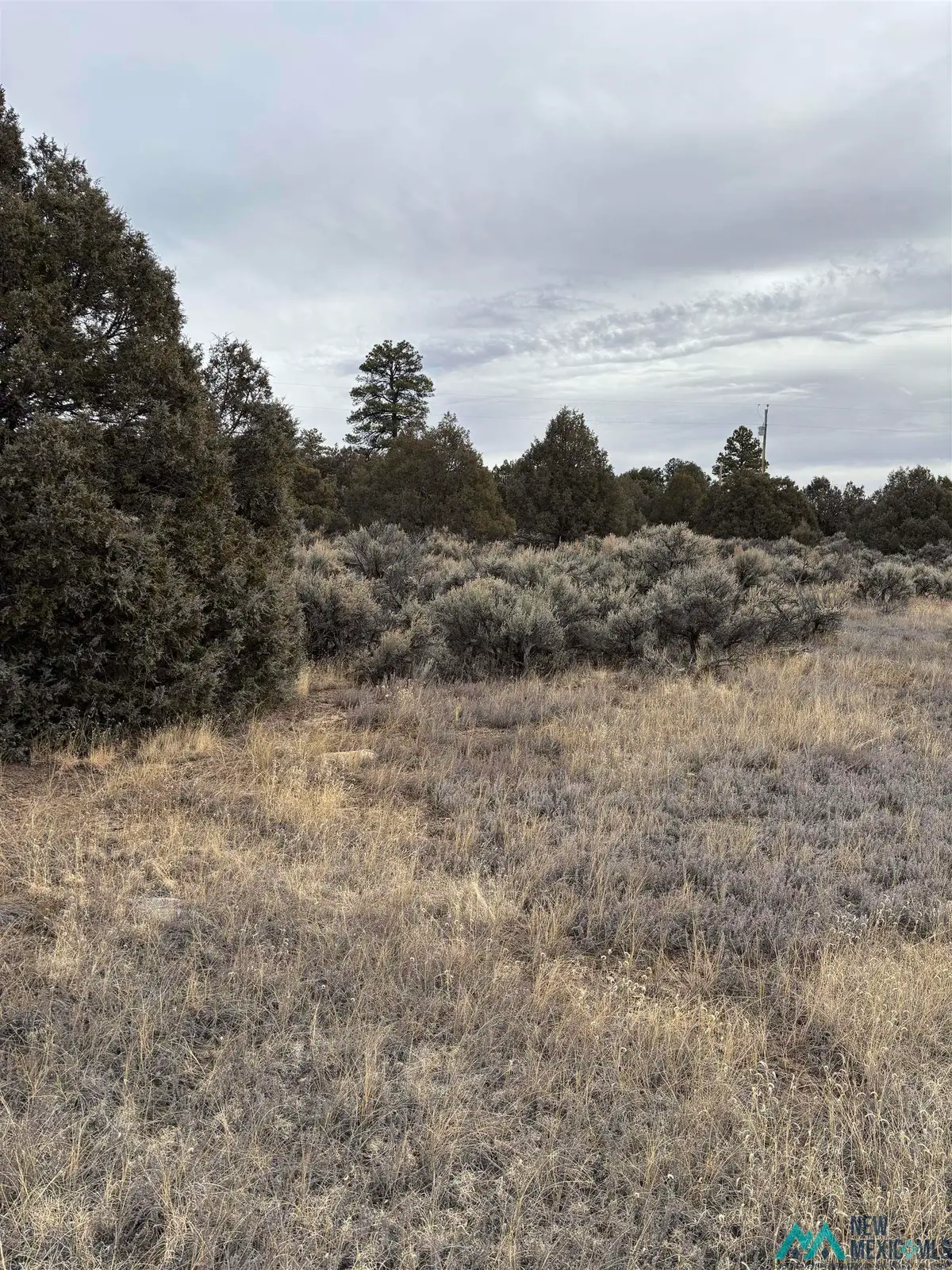 Lots 2 & 3 Parkview Hills, Los Ojos, NM 87551 - Image #1