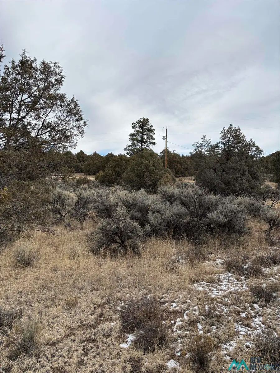 Lots 2 & 3 Parkview Hills, Los Ojos, NM 87551 - Image #2