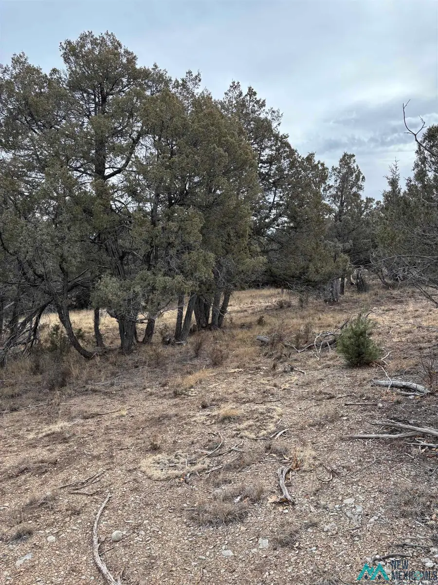Lots 2 & 3 Parkview Hills, Los Ojos, NM 87551 - Image #3