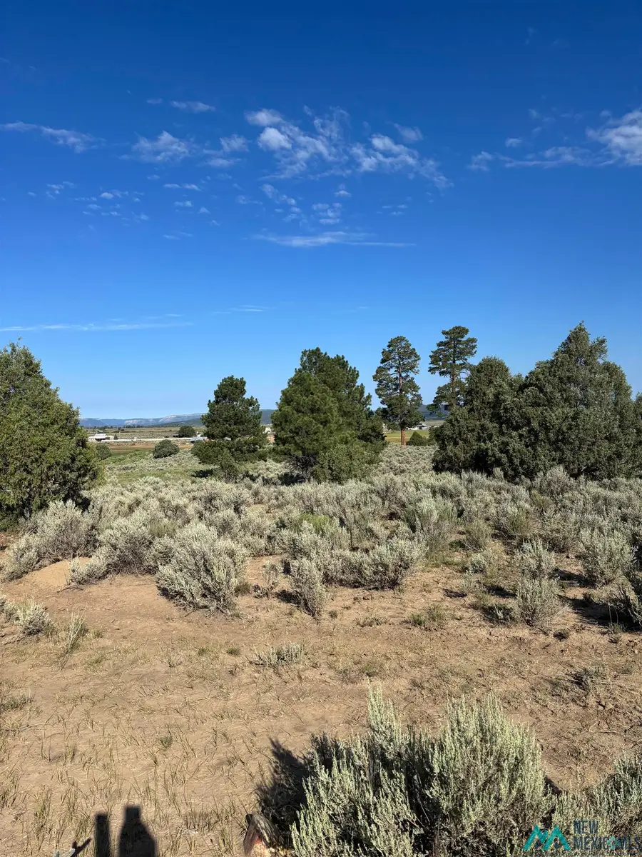TBD Hwy 573, Tierra Amarilla, NM 87575 - #2