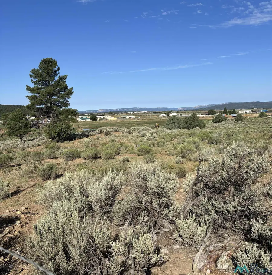 TBD Hwy 573, Tierra Amarilla, NM 87575 - #3