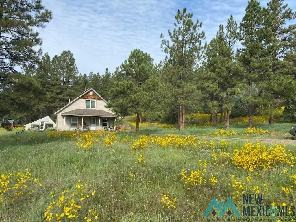 150 Forrest Service Road 124 Road, Cebolla, NM 87518 - Image #1