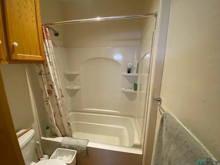 150 Forrest Service Road 124 Road, Cebolla, NM 87518 - Image #2