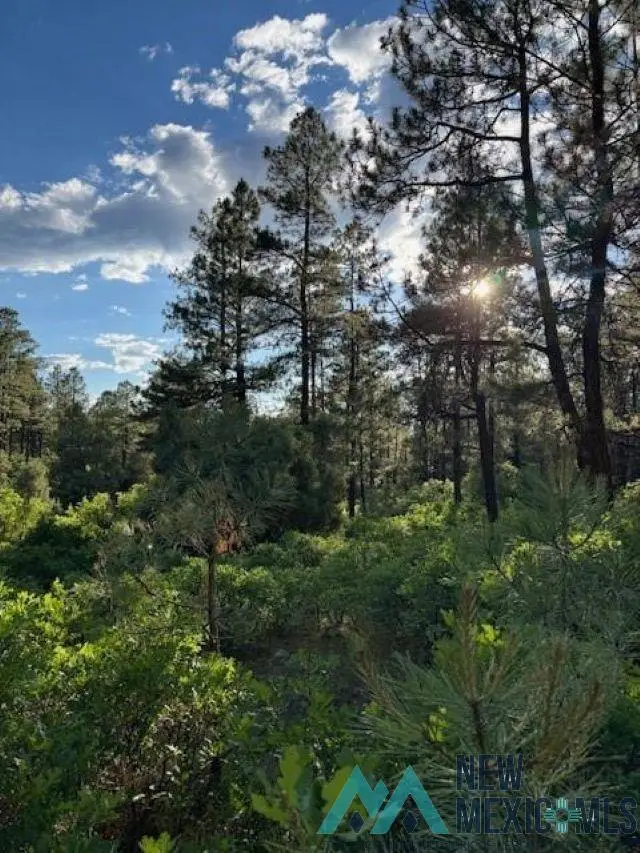 TBD Eagles 2a Road, Chama, NM 87520 - Image #1