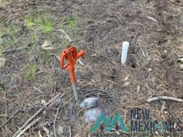 TBD Waterline Road Road, Chama, NM 87520 - Image #2