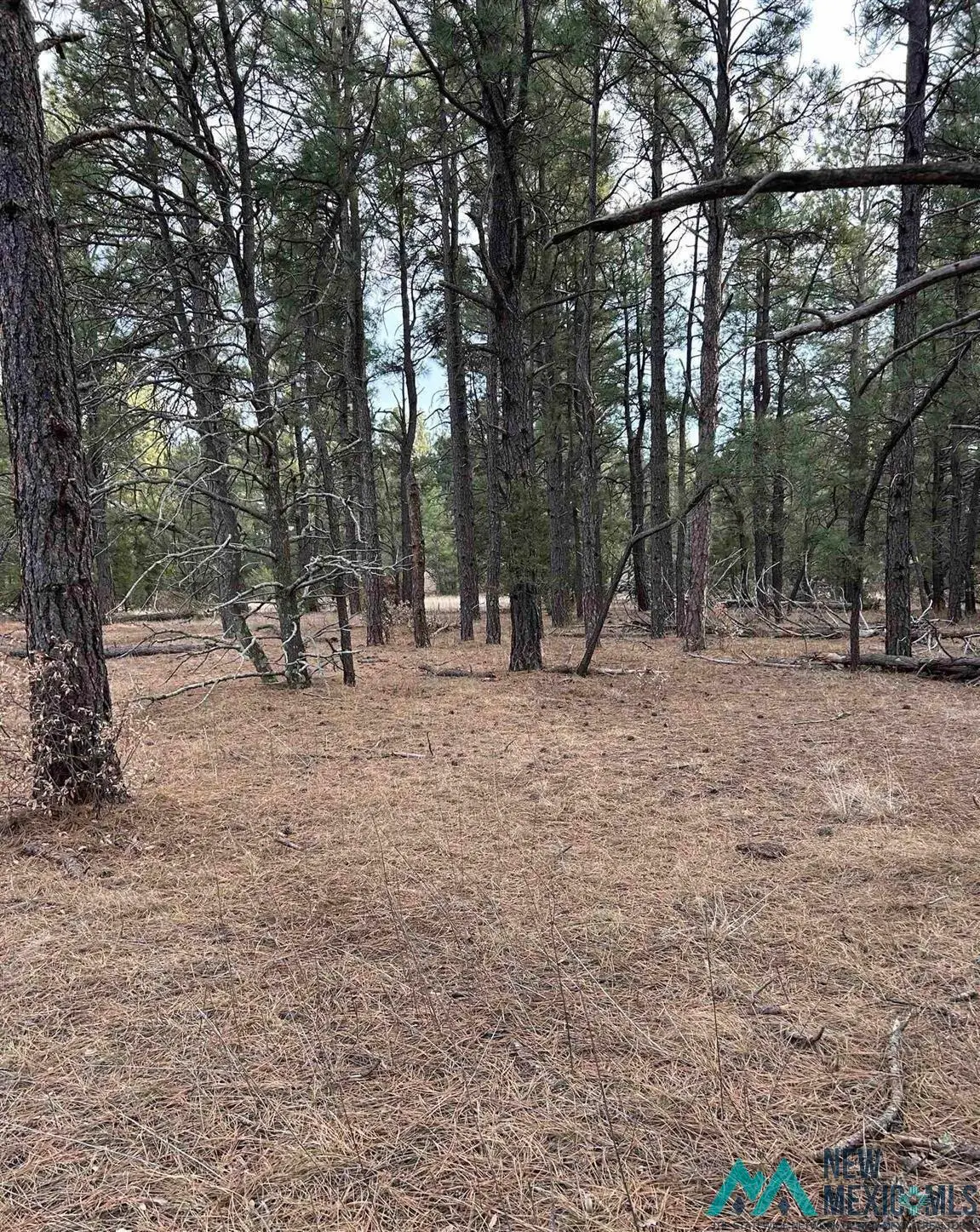 TBD County Rd A30, San Geronimo, NM 87701 - Image #1
