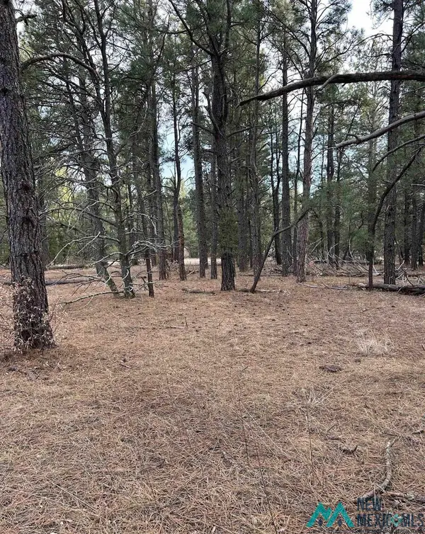 TBD County Rd A30, San Geronimo, NM 87701