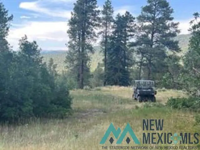 TBD Log Ridge Trail Trail, Chama, NM 87520 - Image #2