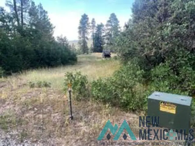 TBD Log Ridge Trail Trail, Chama, NM 87520 - Image #3
