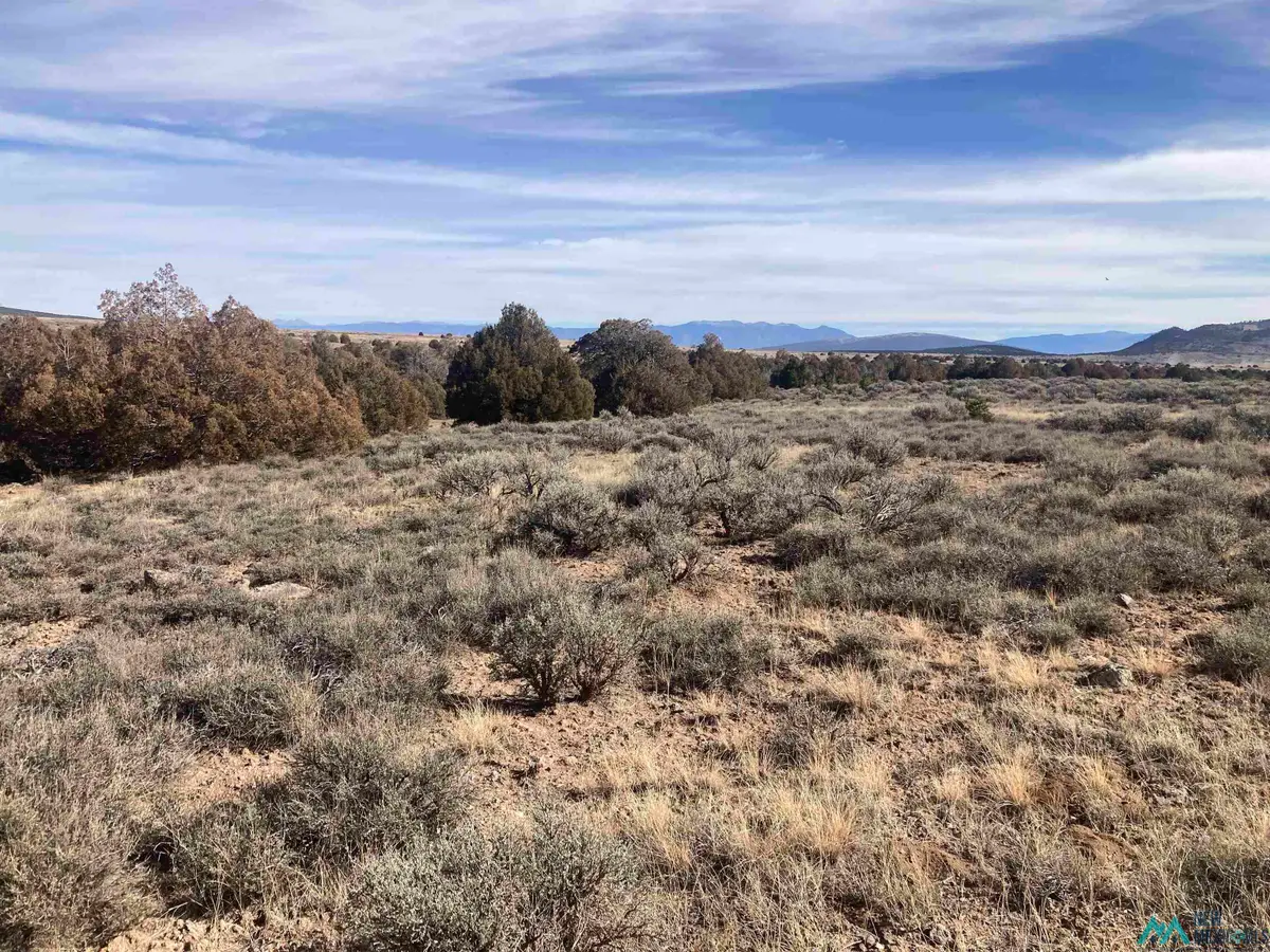 TBD Hwy 285 (s:04 T:29n R09e), Tres Piedras, NM 87577 - Image #1