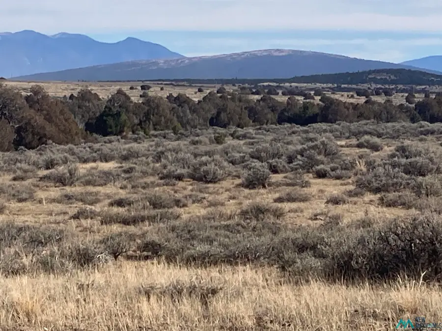 TBD Hwy 285 (s:04 T:29n R09e), Tres Piedras, NM 87577 - Image #2