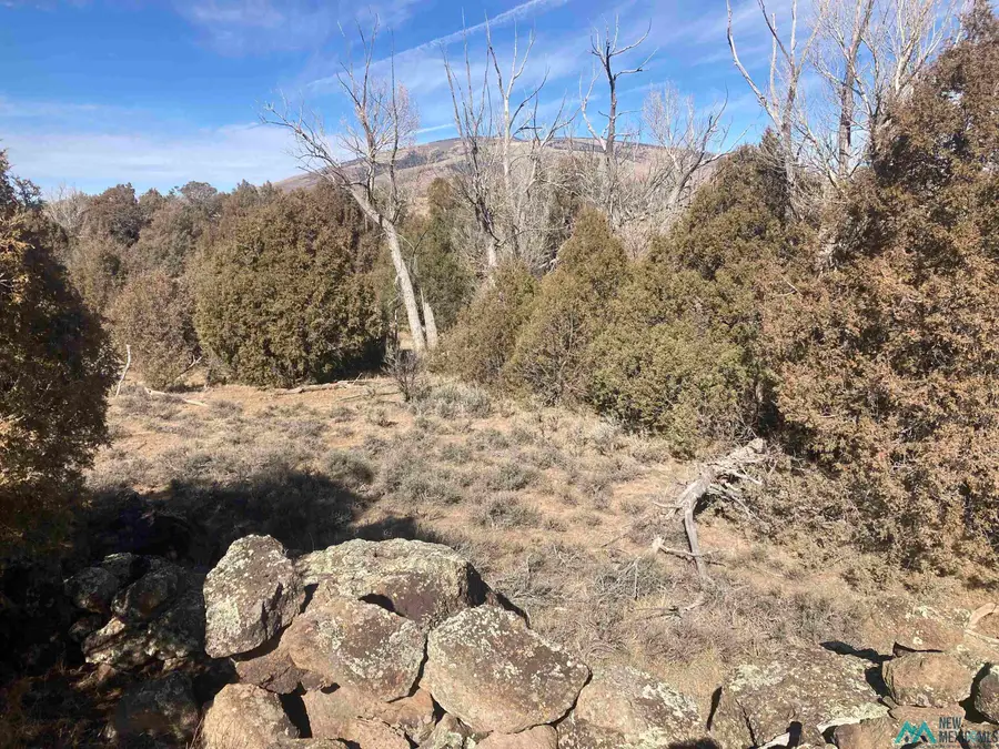 TBD Hwy 285 (s:04 T:29n R09e), Tres Piedras, NM 87577 - Image #3