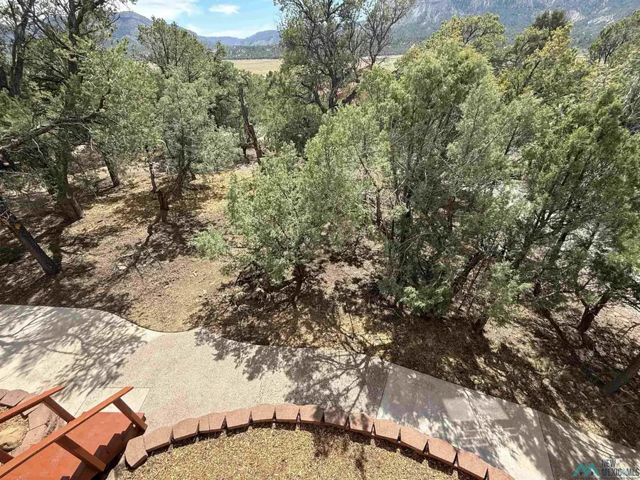 42 Christy Lane, Los Ojos, NM 87551 - #2