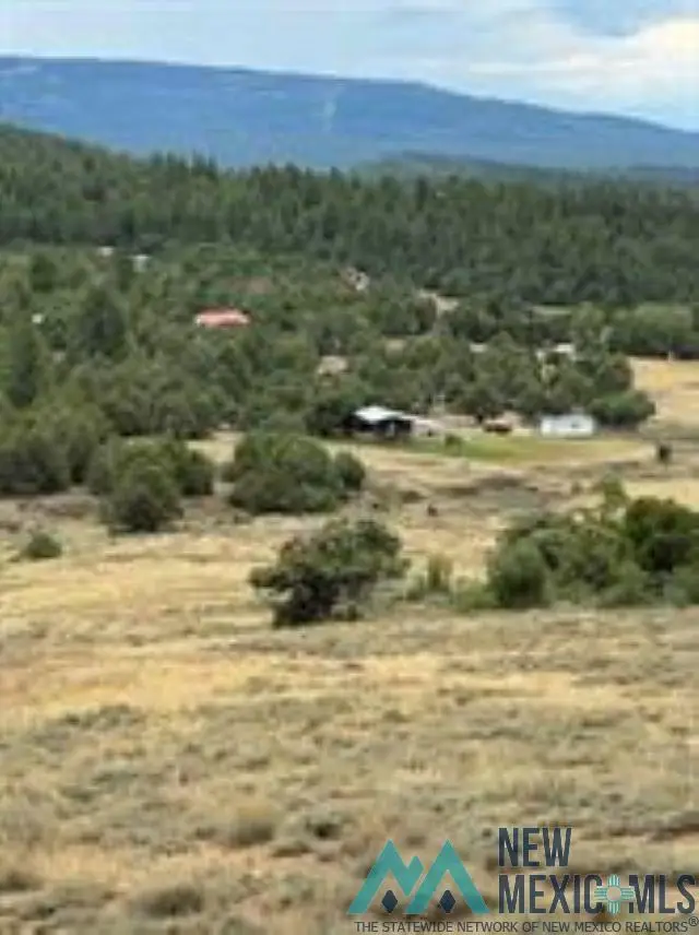 Unit 5 Tract 1 Pd 1783 Road, Chama, NM 87520 - Image #1