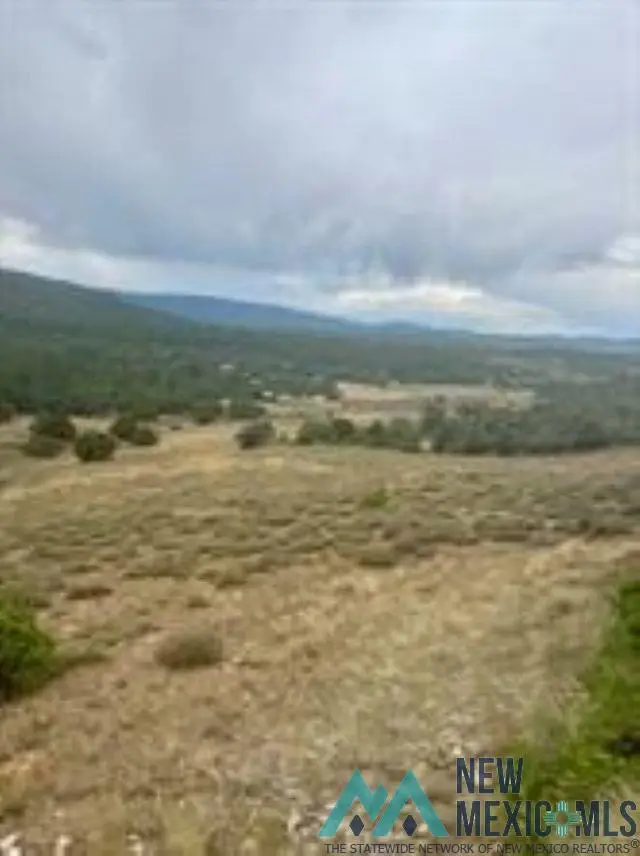 Unit 5 Tract 1 Pd 1783 Road, Chama, NM 87520 - Image #2