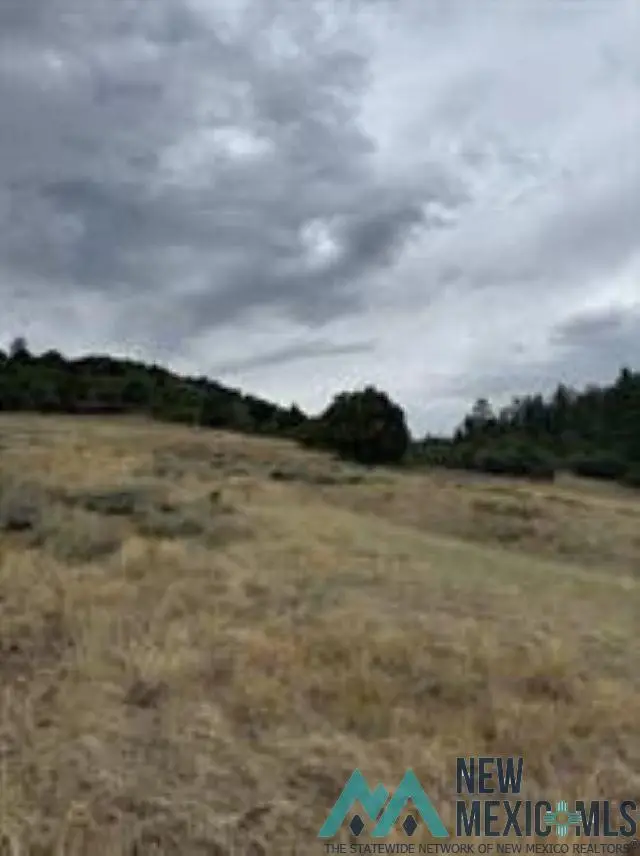 Unit 5 Tract 1 Pd 1783 Road, Chama, NM 87520 - Image #3