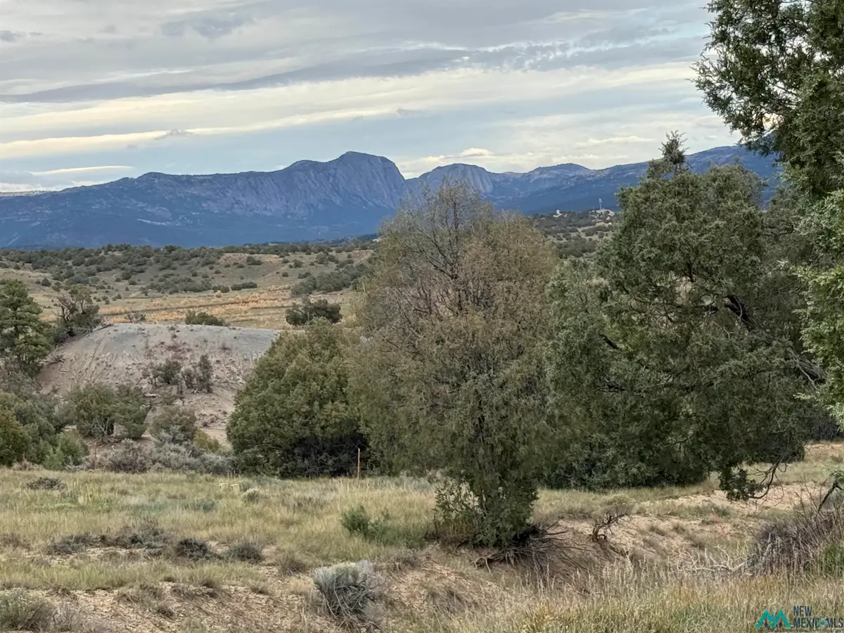 41 Bobcat Loop Loop, Los Ojos, NM 87551 - Image #1