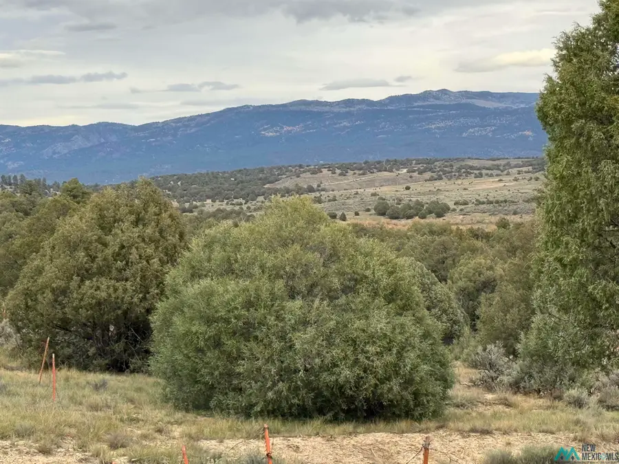 41 Bobcat Loop Loop, Los Ojos, NM 87551 - Image #2