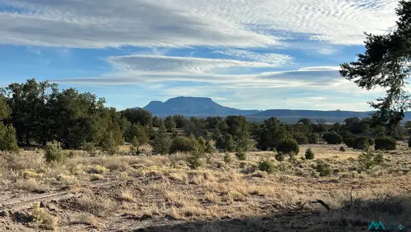 102 Old Stage Road Roads, Pie Town, NM 87827