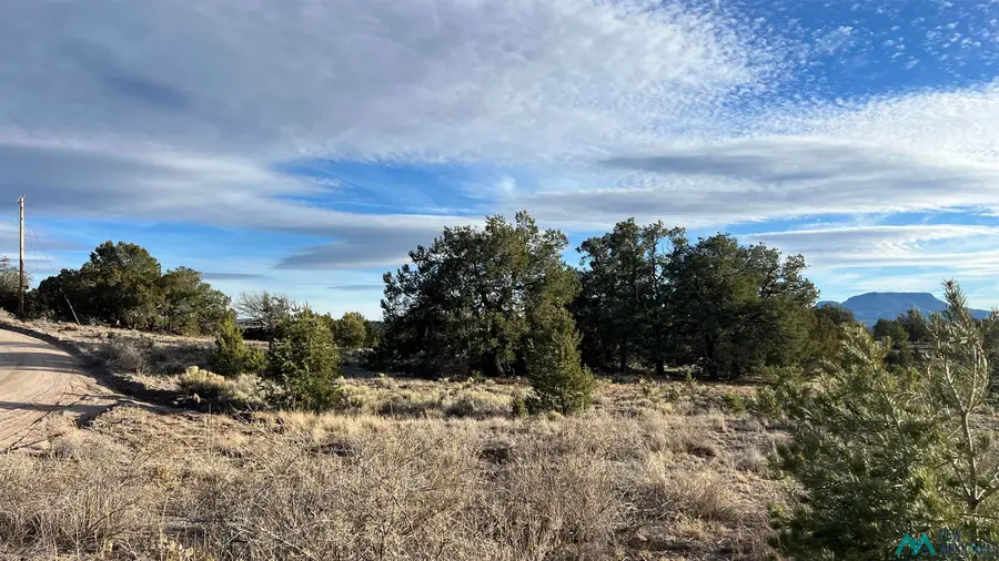 102 Old Stage Road Roads, Pie Town, NM 87827 - Image #2