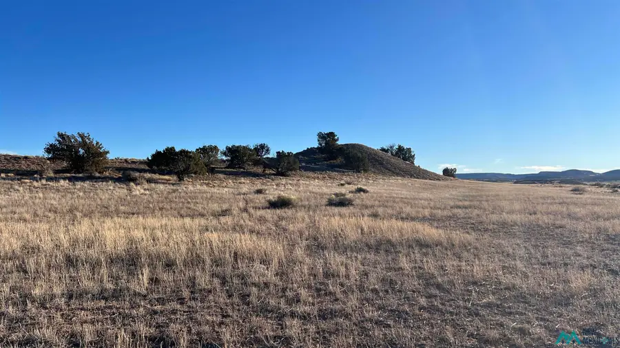 TBD Largo Creek Loop Road, Quemado, NM 87829 - Image #2