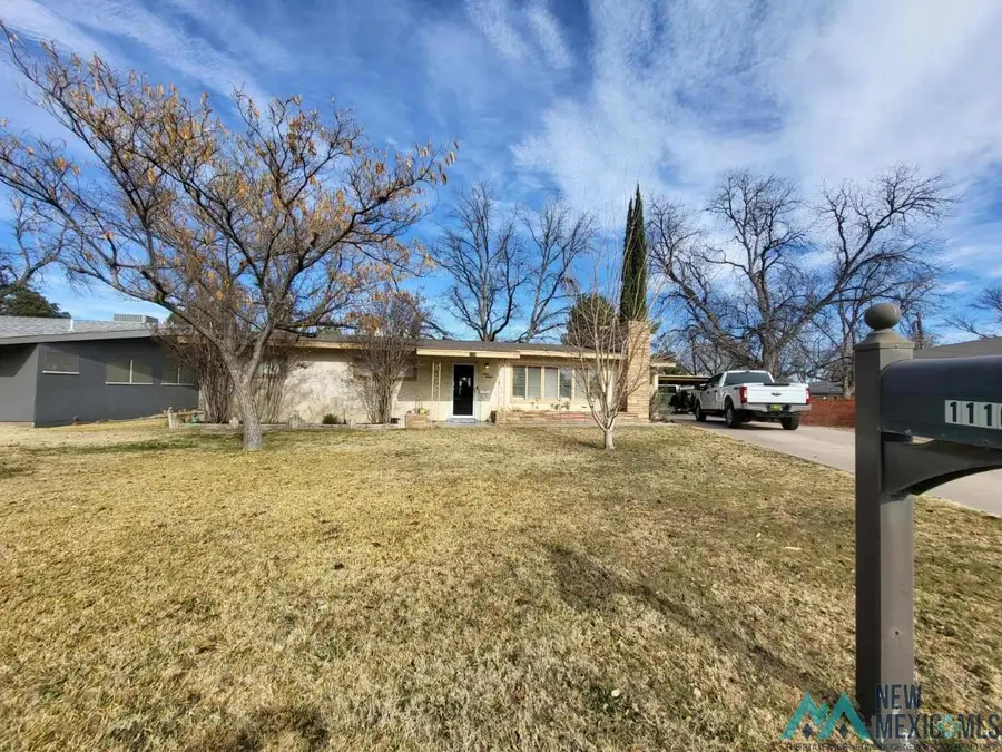 1116 W Thomas Street, Carlsbad, NM 88220 - Image #3