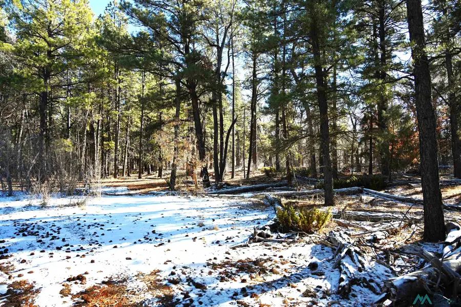 Lot 10 Nm Sr 512 Highway, Chama, NM 87520 - Image #2