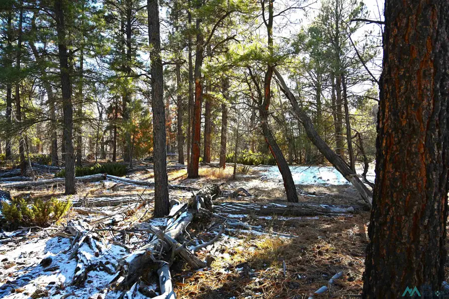 Lot 10 Nm Sr 512 Highway, Chama, NM 87520 - Image #3