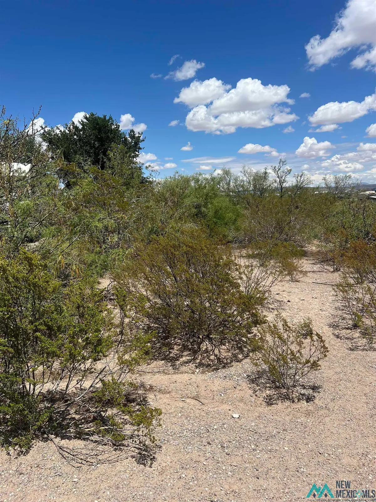 207 Olympic Street, Elephant Butte, NM 87935 - #1