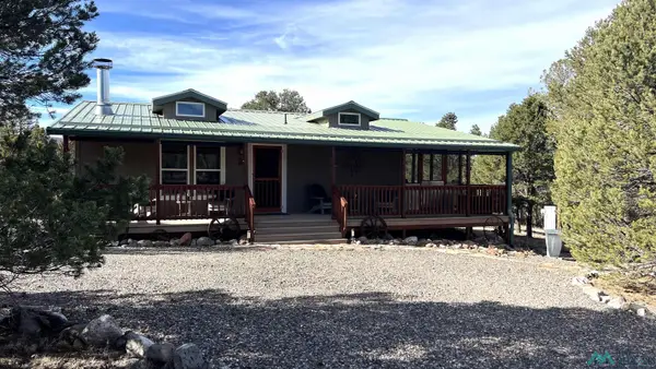 17 Branding Iron Road, Quemado, NM 87829