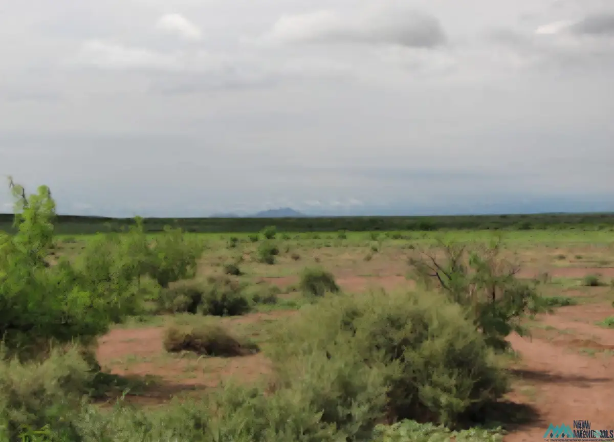 XXX Empire, Deming, NM 88030 - Image #1