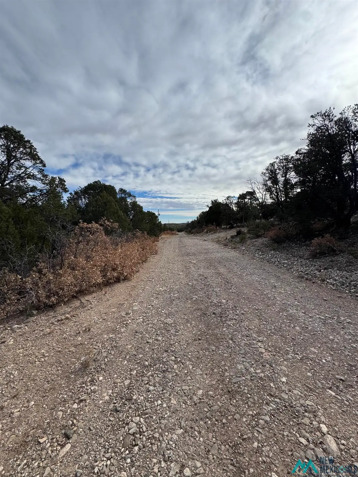 Lot 217 Trout Drive, Timberon, NM 88350 - Image #1