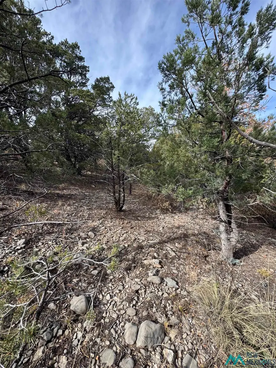 Lot 217 Trout Drive, Timberon, NM 88350 - Image #3