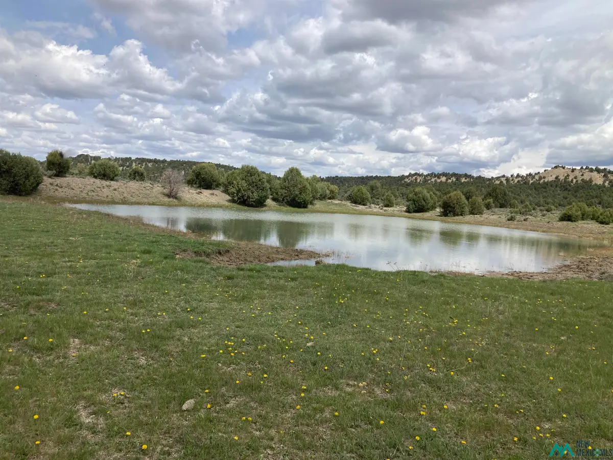 TBD Highway 84/64, Tierra Amarilla, NM 87575 - Image #1