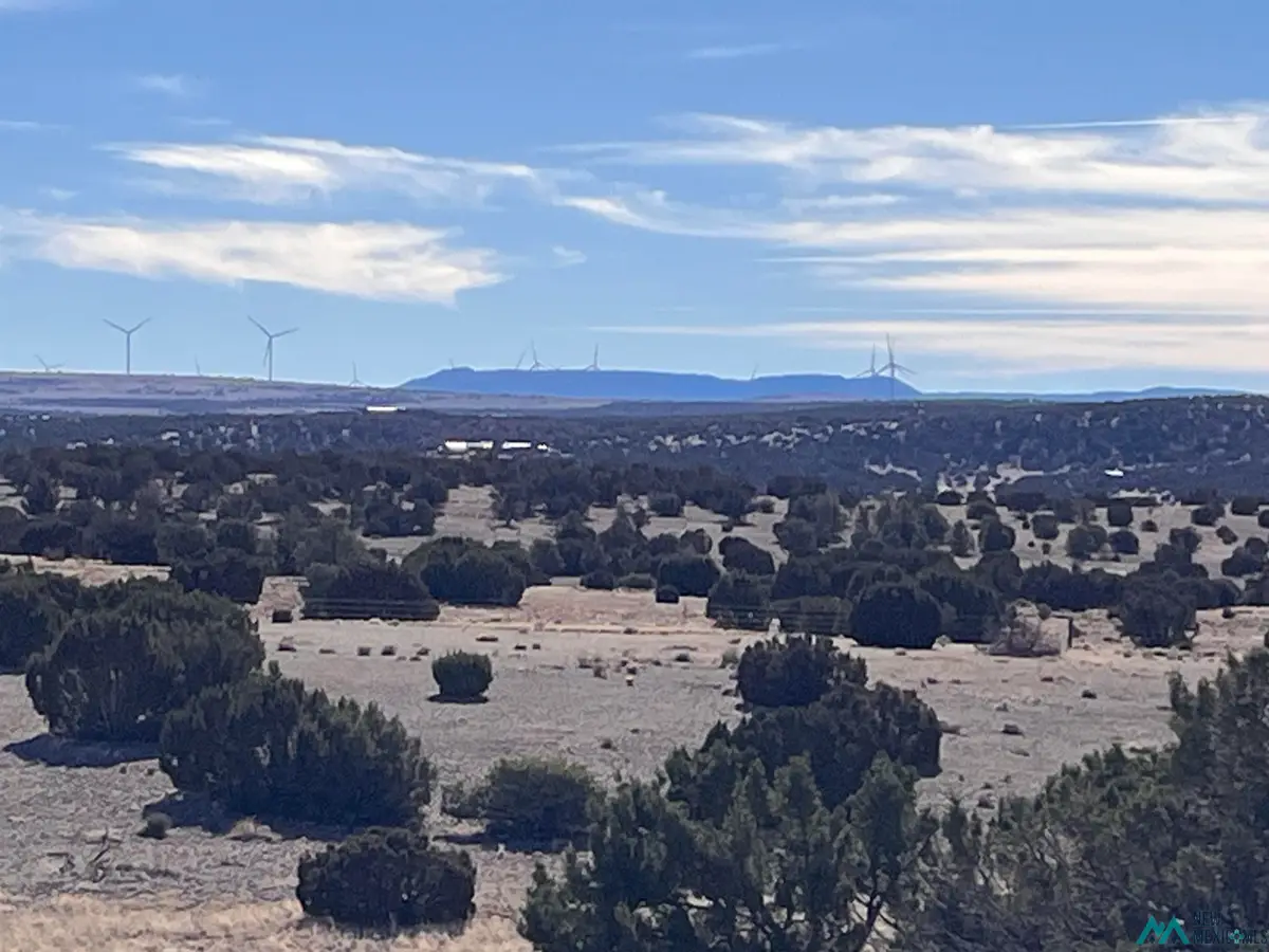 Lot 166 Deer Circle, Quemado, NM 87829 - Image #1