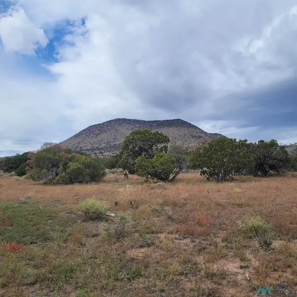 15 Elk Court, Datil, NM 5