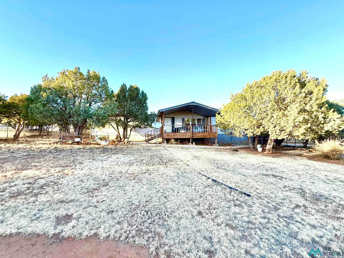 47 Turkey Canyon, Carlsbad, NM 88220 - Image #1
