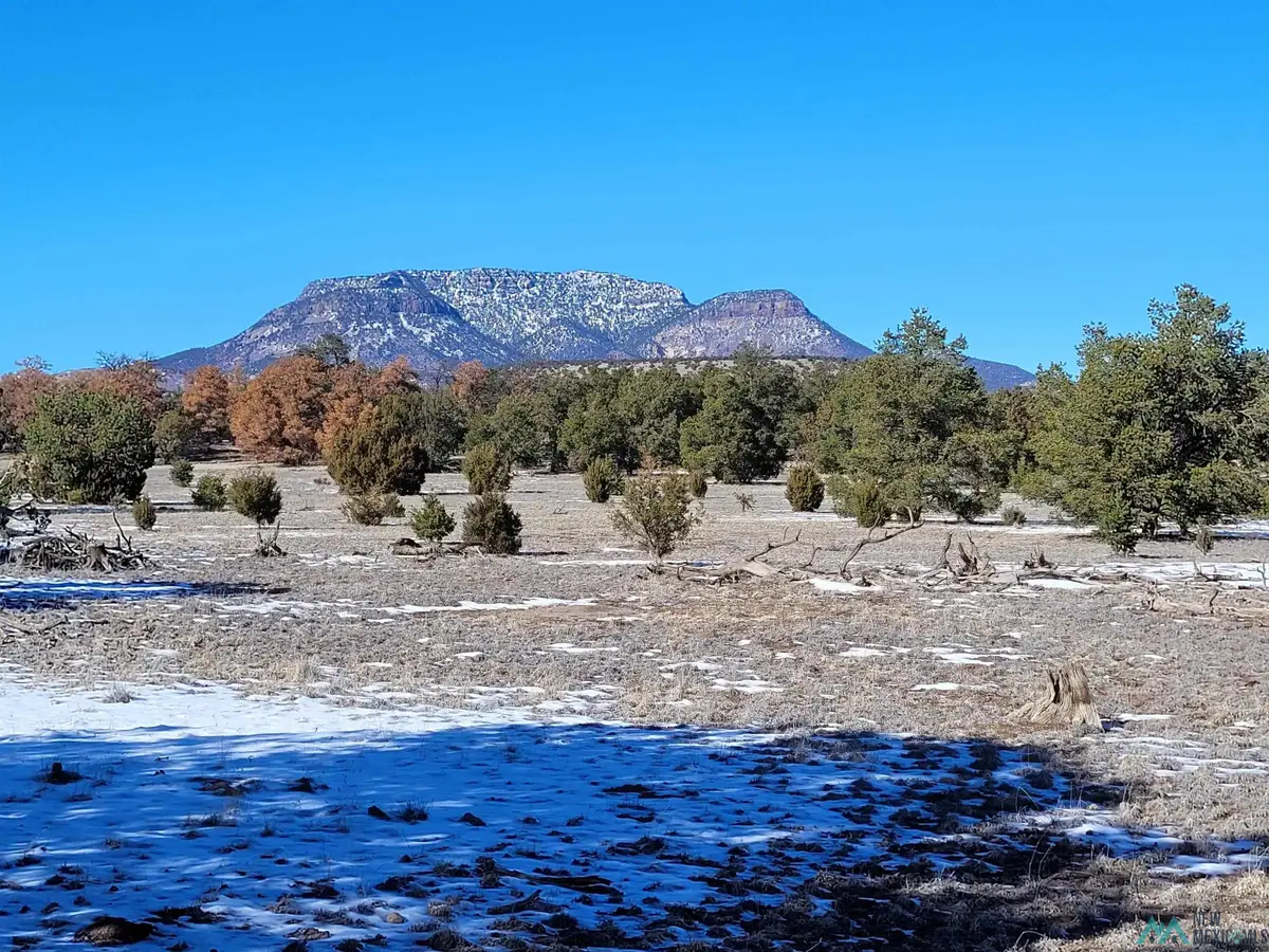 1 Jackass Lane, Datil, NM 5 - Image #1