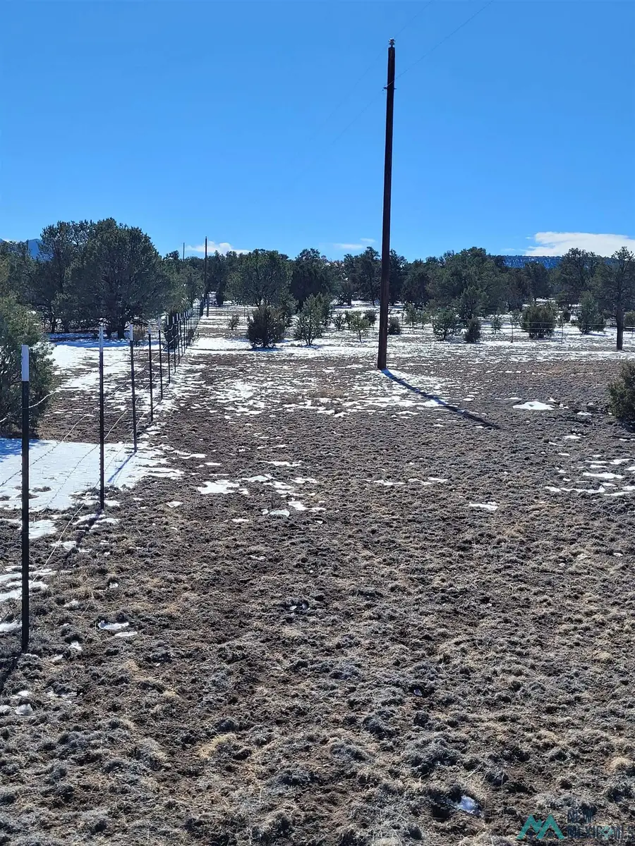 1 Jackass Lane, Datil, NM 5 - Image #3