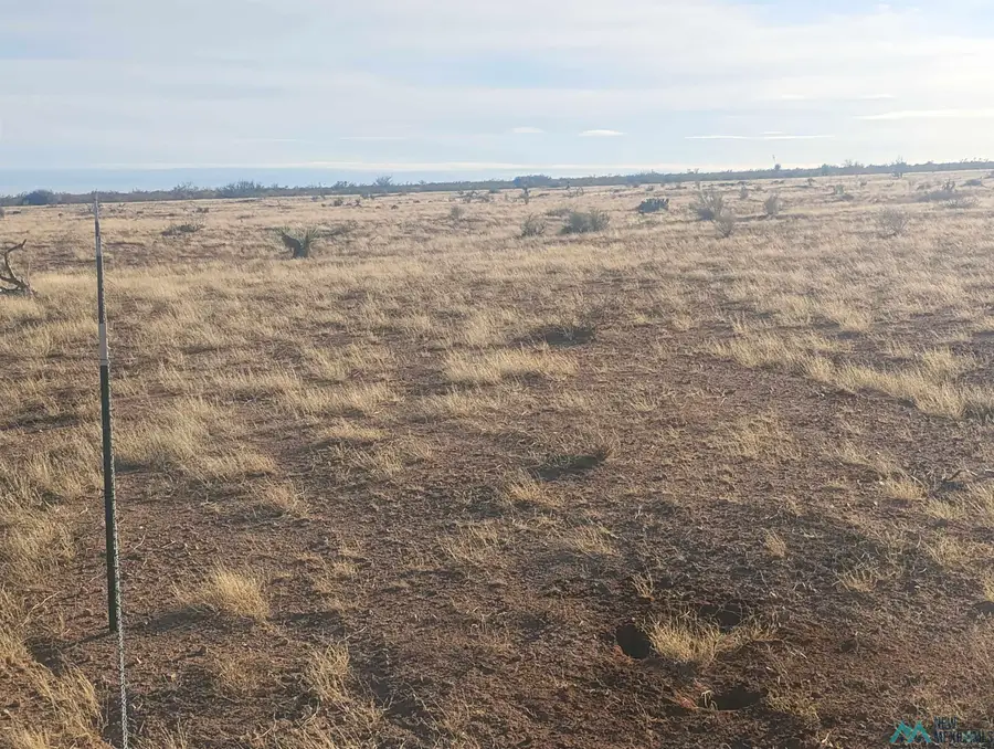 XXXX Blazing Trail Se, Deming, NM 88030 - Image #2