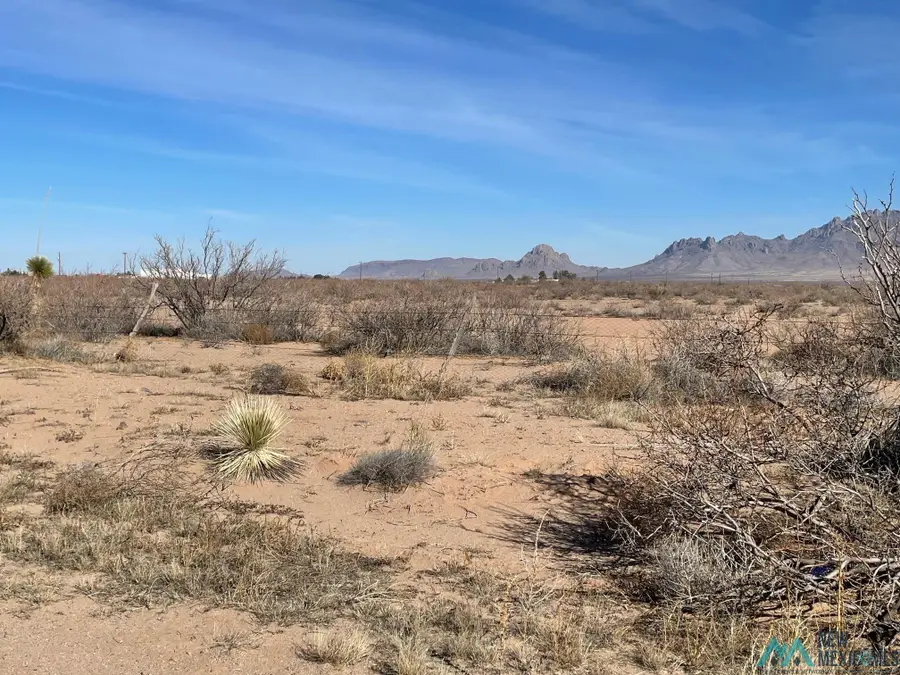 Purple Sage Rd Sw, Deming, NM 88030 - Image #3