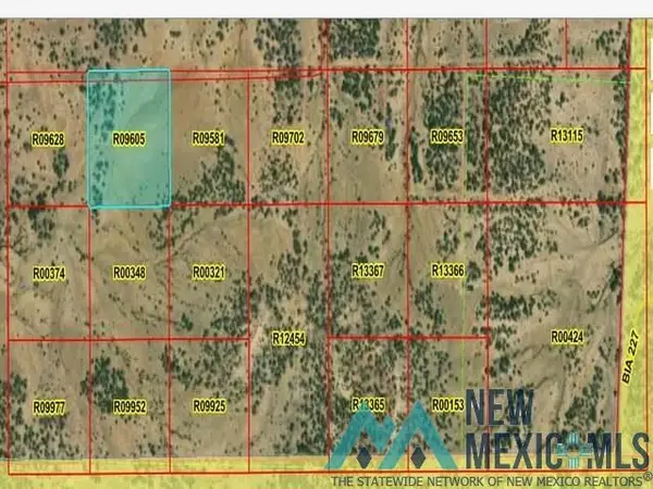 LOT 40 La Tinaja Trail, Pinehill, NM 87357