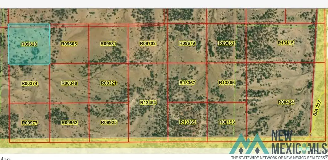LOT 39 La Tinaja Trail, Pinehill, NM 87357 - Image #1