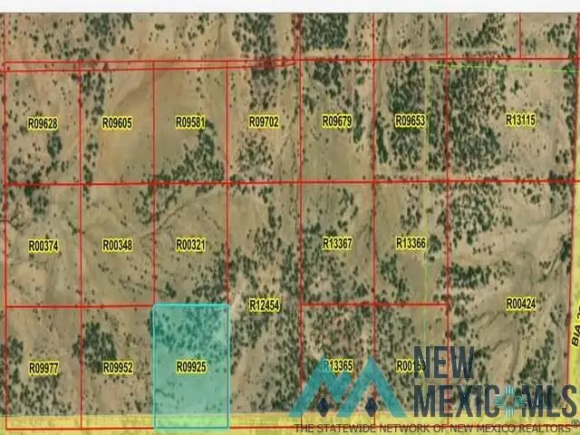 LOT 50 La Tinaja Trail, Pinehill, NM 87357 - Image #1