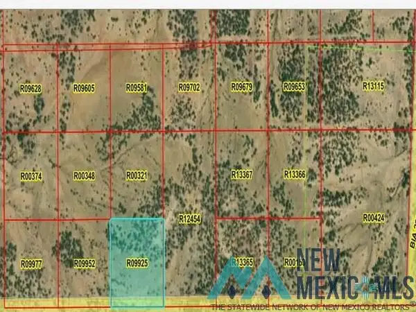 LOT 50 La Tinaja Trail, Pinehill, NM 87357