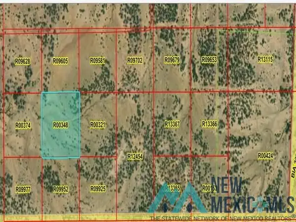 LOT 46 La Tinaja Trail, Pinehill, NM 87357