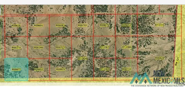 LOT 48 La Tinaja Trail, Pinehill, NM 87357
