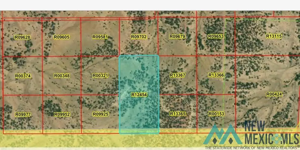 LOT Tbd La Tinaja Trail, Pinehill, NM 87357 - Image #1